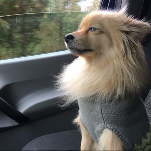 Meet your Posher, Robyn